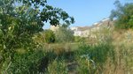 3 bedrooms House in Celorico da Beira, Portugal No. 29082 - Image 14