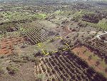 1700m² Land in Loule, Portugal No. 30882 - Image 3