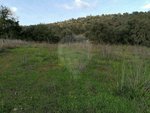 1700m² Land in Loule, Portugal No. 30882 - Image 4