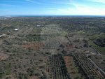 1700m² Land in Loule, Portugal No. 30882 - Image 5