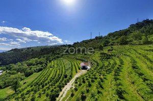 2 bedrooms House in Vieira do Minho, Portugal No. 32921