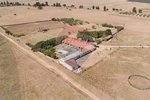 7 bedrooms House in Serpa, Portugal No. 38974 - Image 6