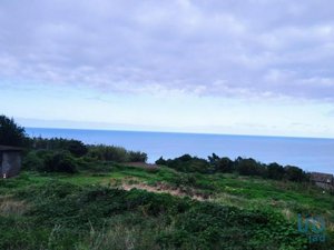 4 bedrooms House in Santana, Portugal No. 404