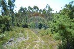 1300m² Land in Recarei, Portugal No. 41117 - Image 2