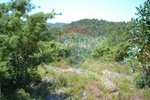 1300m² Land in Recarei, Portugal No. 41117 - Image 3