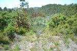 1300m² Land in Recarei, Portugal No. 41117 - Image 4