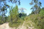 1300m² Land in Recarei, Portugal No. 41117 - Image 5