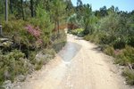 1300m² Land in Recarei, Portugal No. 41117 - Image 9