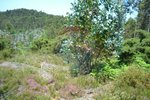1300m² Land in Recarei, Portugal No. 41117 - Image 10