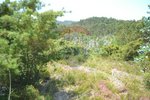 1300m² Land in Recarei, Portugal No. 41117 - Image 12