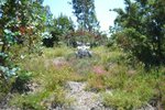1300m² Land in Recarei, Portugal No. 41117 - Image 14