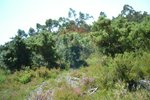 1300m² Land in Recarei, Portugal No. 41117 - Image 18