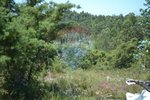 1300m² Land in Recarei, Portugal No. 41117 - Image 19