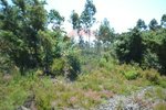 1300m² Land in Recarei, Portugal No. 41117 - Image 21