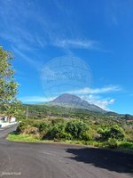 3 bedrooms House in Madalena, Portugal No. 44216 - Image 3