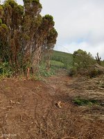 3 bedrooms House in Velas, Portugal No. 48237 - Image 16