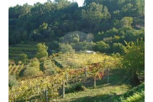 1 bedroom House in Azias, Portugal No. 58554