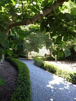 10 bedrooms House in Trancoso, Portugal No. 64902 - Image 5