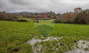 1 bedroom House in Caria, Portugal No. 67980