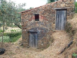 2300m² Land in Troviscal, Portugal No. 74665