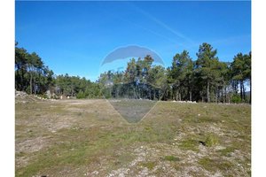 18525m² Warehouse in Aguiar da Beira, Portugal No. 77180