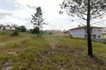 593m² Land in Vila Nova de Poiares, Portugal No. 80043 - Image 3