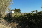 Land in Arranho, Portugal No. 87214 - Image 13