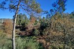 Land in Viseu, Portugal No. 88010 - Image 10