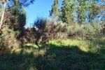 Land in Viseu, Portugal No. 88010 - Image 11