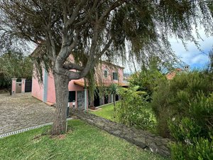 3 bedrooms Villa in Porto Moniz, Portugal No. 97068