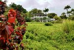 24 rooms Villa in Ottley's, Saint Kitts and Nevis No. 12 - Image 4