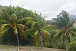 4 bedrooms Villa in Basseterre, Saint Kitts and Nevis No. 21 - Image 13