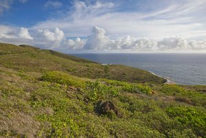 Hotel in Saint George Basseterre, Saint Kitts and Nevis No. 40