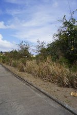 4243.53m² Hotel in Frigate Bay, Saint Kitts and Nevis No. 91 - Image 3