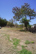 4046.86m² Hotel in Basseterre, Saint Kitts and Nevis No. 93 - Image 2