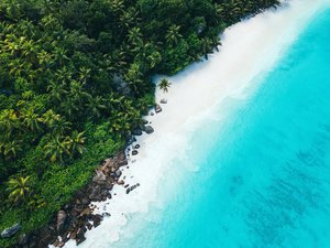 750000m² Land in Port Glaud, Seychelles No. 135