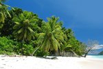 750000m² Land in Port Glaud, Seychelles No. 135 - Image 6