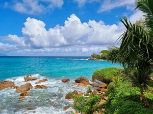 68 rooms Hotel in Glacis, Seychelles No. 138