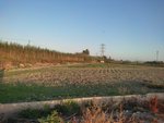 125m² Land in San Fulgencio, Spain No. 100136 - Image 5