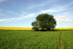 8 bedrooms House in Madrid, Spain No. 101703