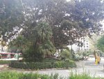 66m² Commercial property in Valencia, Spain No. 101788 - Image 2