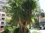 66m² Commercial property in Valencia, Spain No. 101788 - Image 12