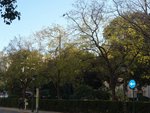 66m² Commercial property in Valencia, Spain No. 101788 - Image 13