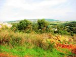 1704m² Land in Cadiz, Spain No. 105043 - land in Spain