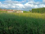 200m² Land in Pontevedra, Spain No. 106032 - land in Spain