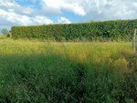 200m² Land in Pontevedra, Spain No. 106032 - Image 2
