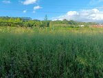 200m² Land in Pontevedra, Spain No. 106032 - Image 4