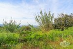 17000m² Land in Tossa de Mar, Spain No. 10704 - Image 4