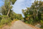 17000m² Land in Tossa de Mar, Spain No. 10704 - Image 11