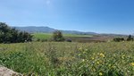 250m² Land in Alava, Spain No. 107407 - Image 9